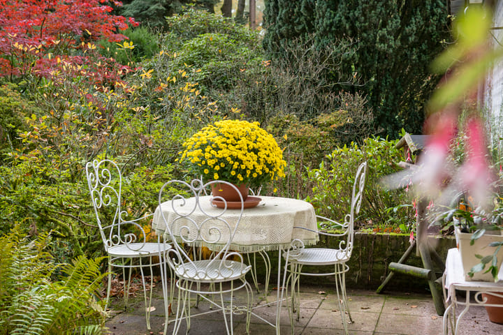 Photo 62 of Wolfhezerweg 38