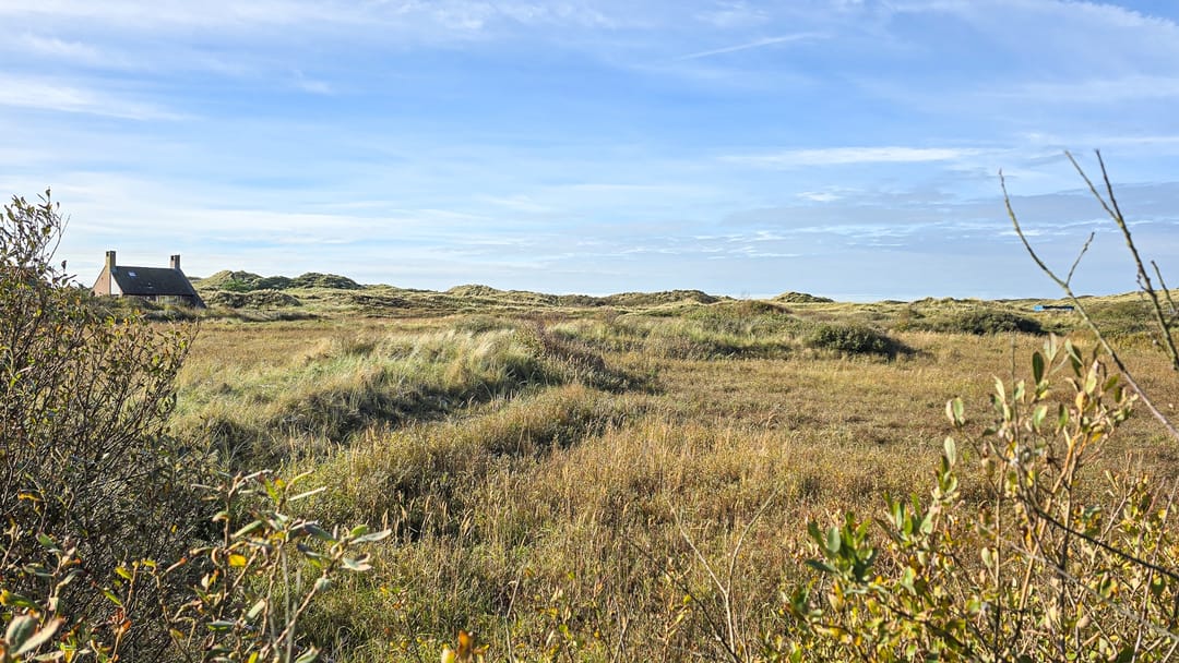 Photo 38 of Midsland aan Zee 383