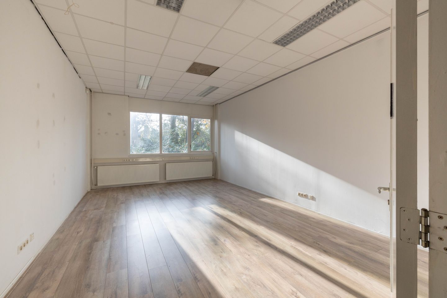 Bekijk foto 5 van Hofstraat 81