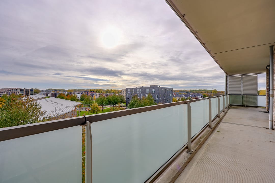 Foto 8 van Boelijn 187