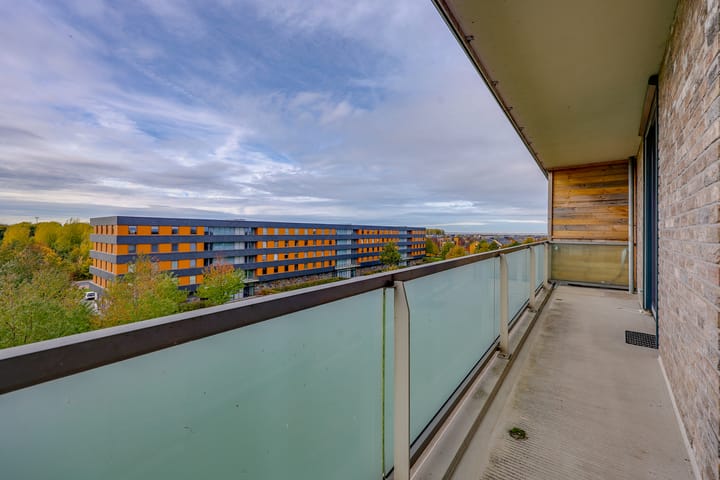 Foto 9 van Boelijn 187