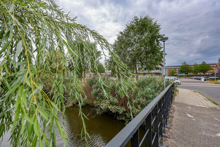 Foto 50 van Boelijn 187