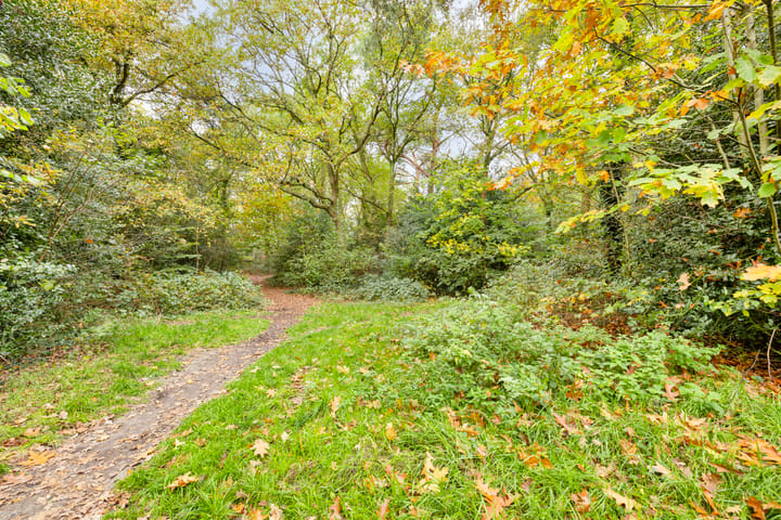 Photo 43 of Travertin 30