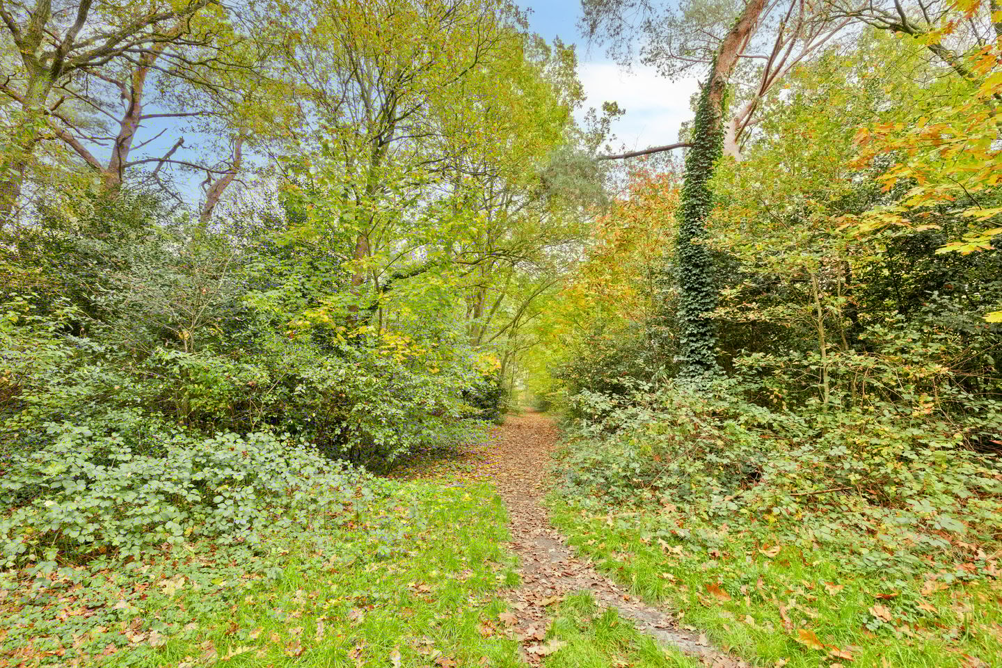 Photo 44 of Travertin 30