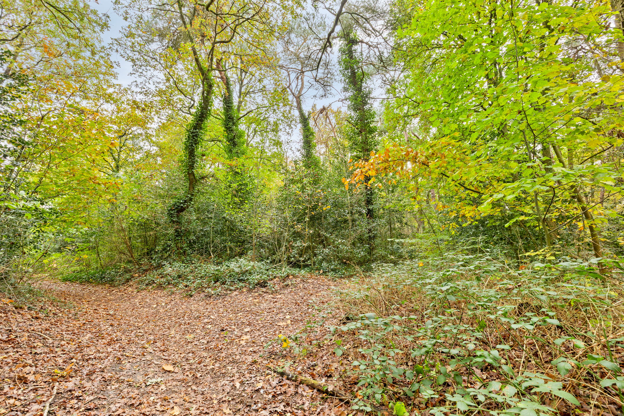 Photo 45 of Travertin 30