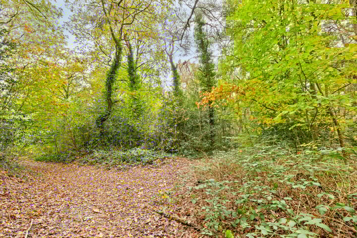 Photo 45 of Travertin 30