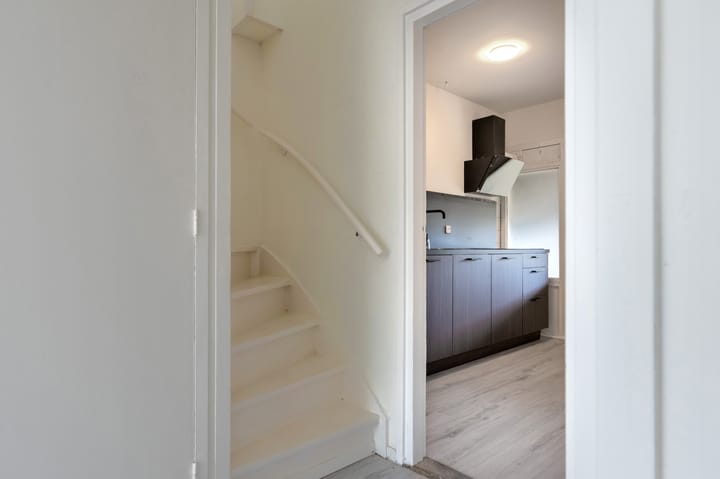 Foto 5 van Fokkingeslag 54