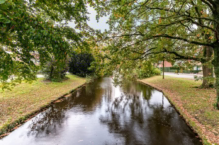 Photo 46 of Couperuslaan 61