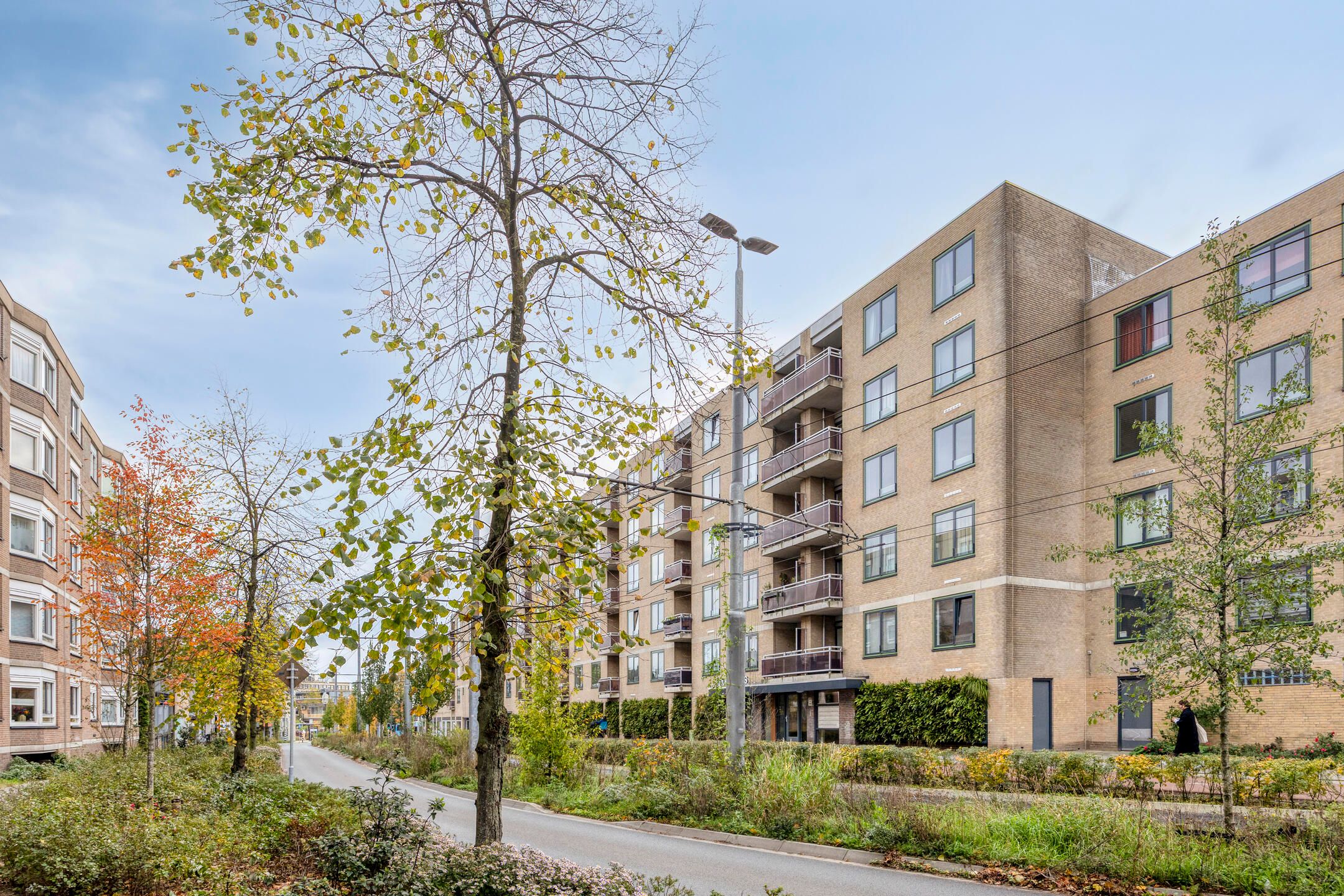 Photo 24 of Ir J.P. van Muijlwijkstraat 272