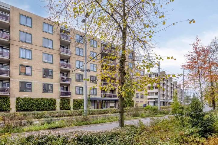 Photo 26 of Ir J.P. van Muijlwijkstraat 272