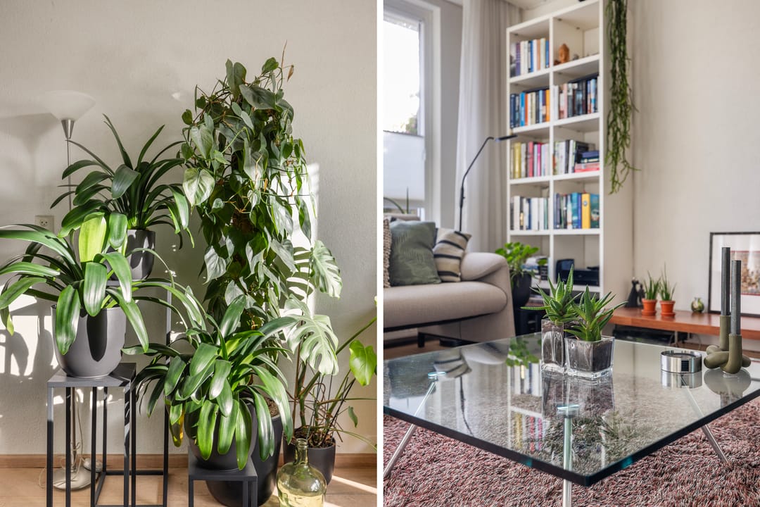 Foto 8 van Waterman 3