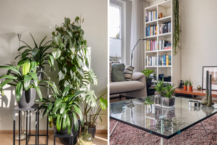 Foto 8 van Waterman 3