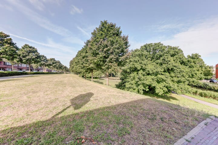 Foto 22 van Vlaardingerdijk 169-B