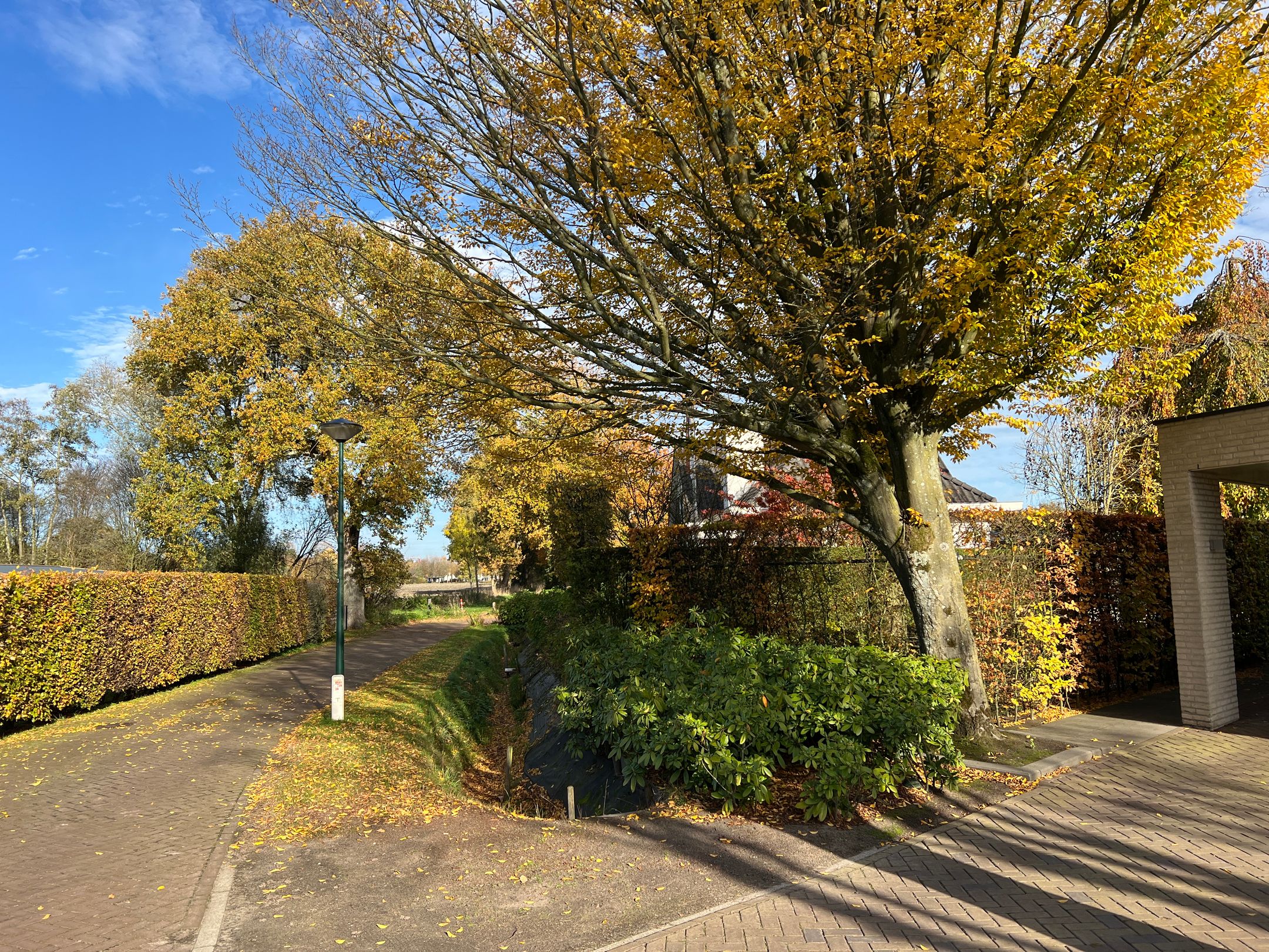 Foto 63 van Heistraat 50