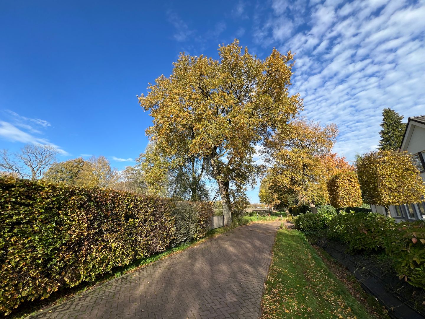 Foto 64 van Heistraat 50