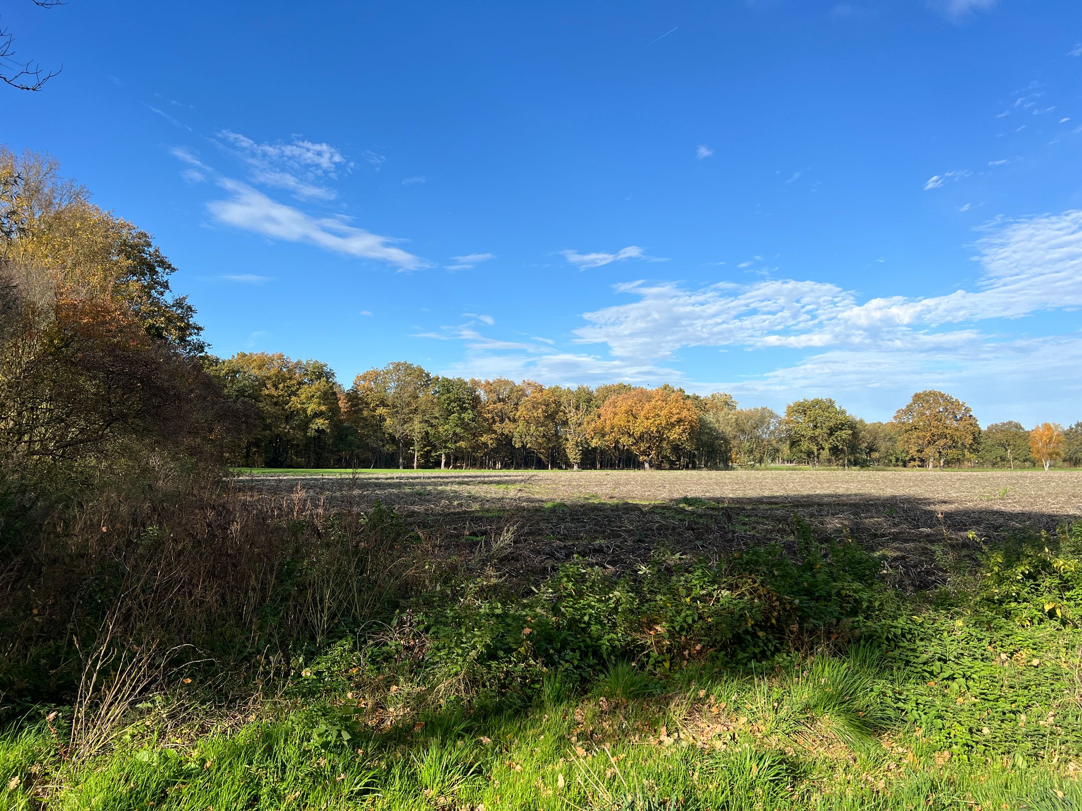 Foto 66 van Heistraat 50