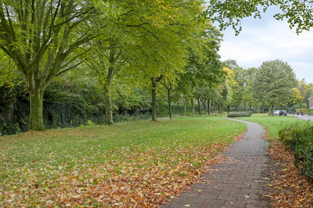 Photo 46 of van Goenstraat 9