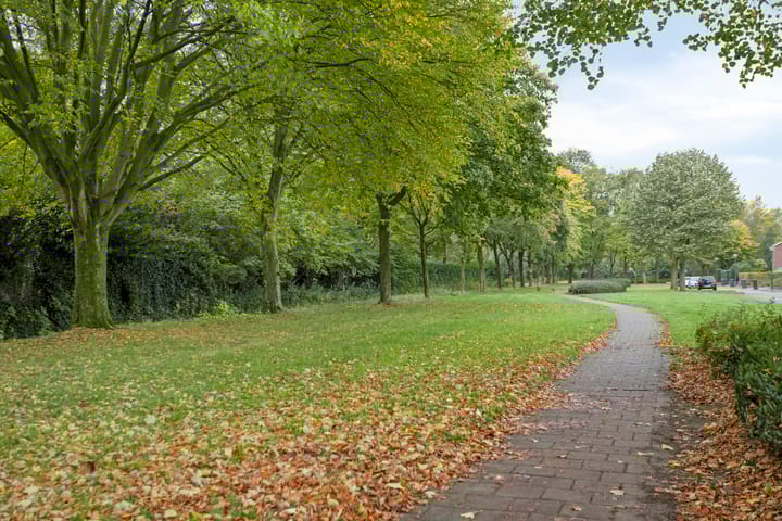 Foto 46 van van Goenstraat 9