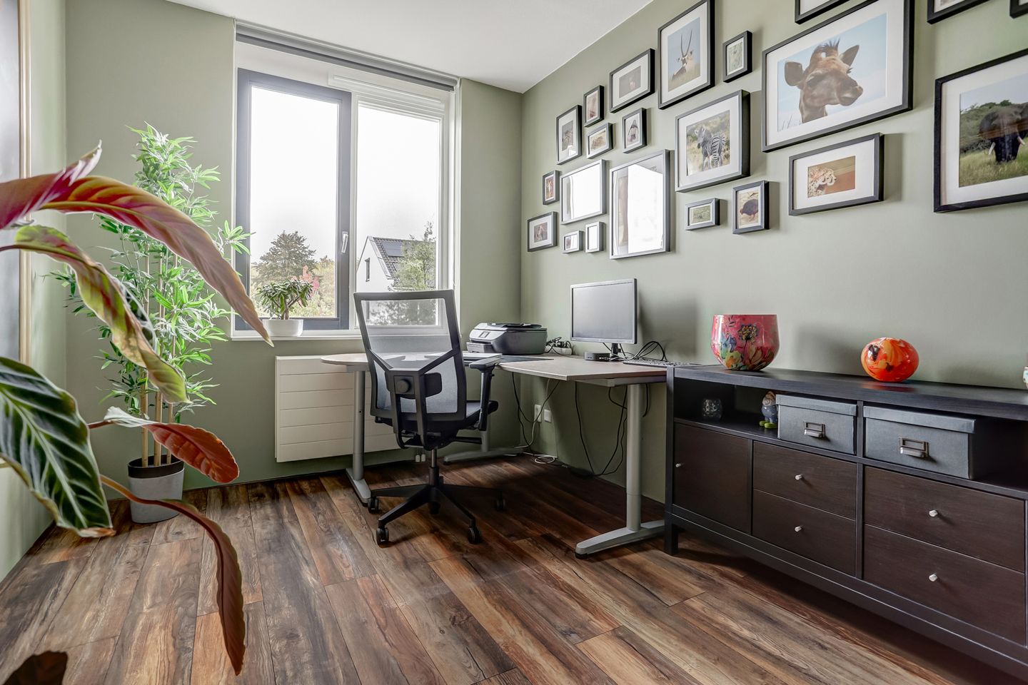 Foto 34 van De Zijp 37