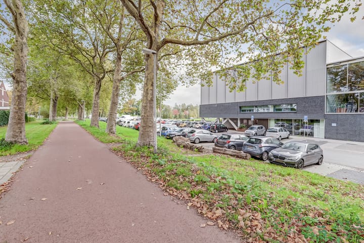 Photo 50 of De Zijp 37