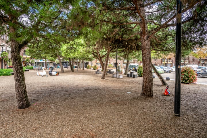 Foto 19 van Terwaenen 33