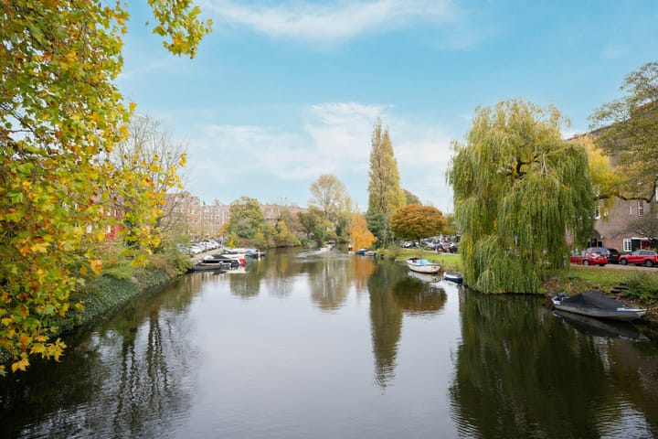 Foto 38 van Bertelmanstraat 10-2