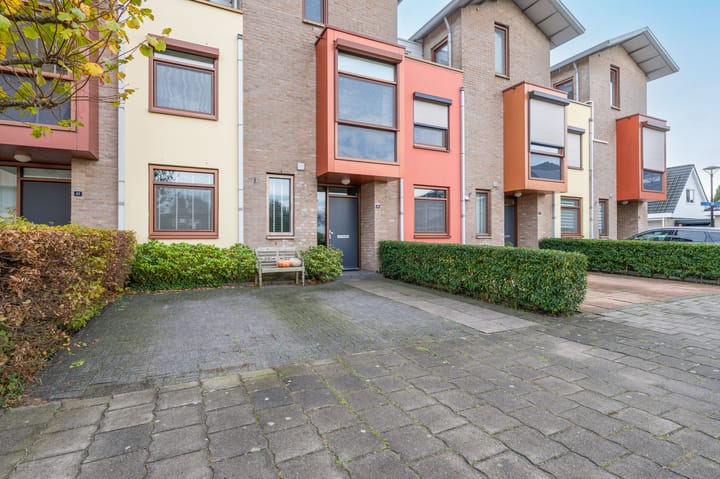 Foto 2 van Korenbloem 43