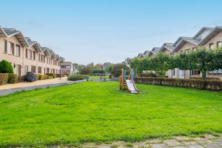 Foto 38 van Korenbloem 43