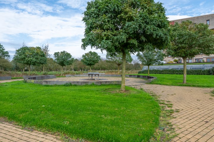 Foto 40 van Korenbloem 43