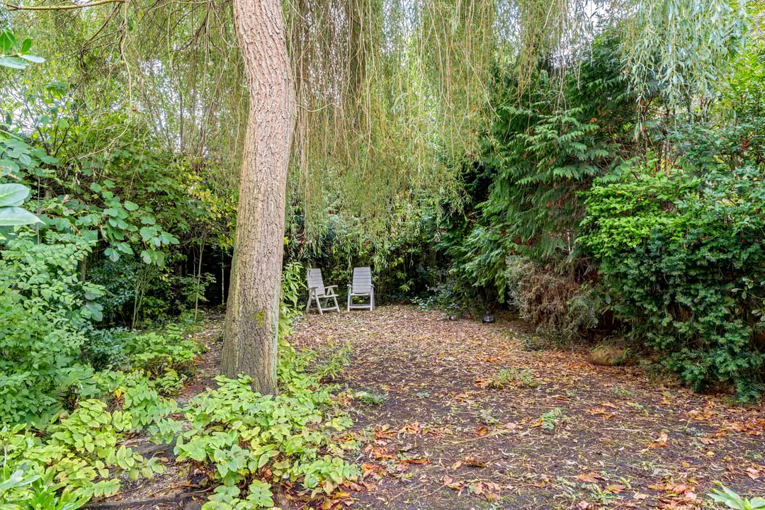 Foto 43 van Rodenrijseweg 119