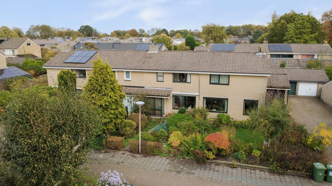 Foto 1 van Struisgras 8