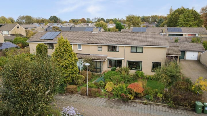 Struisgras 8 main image