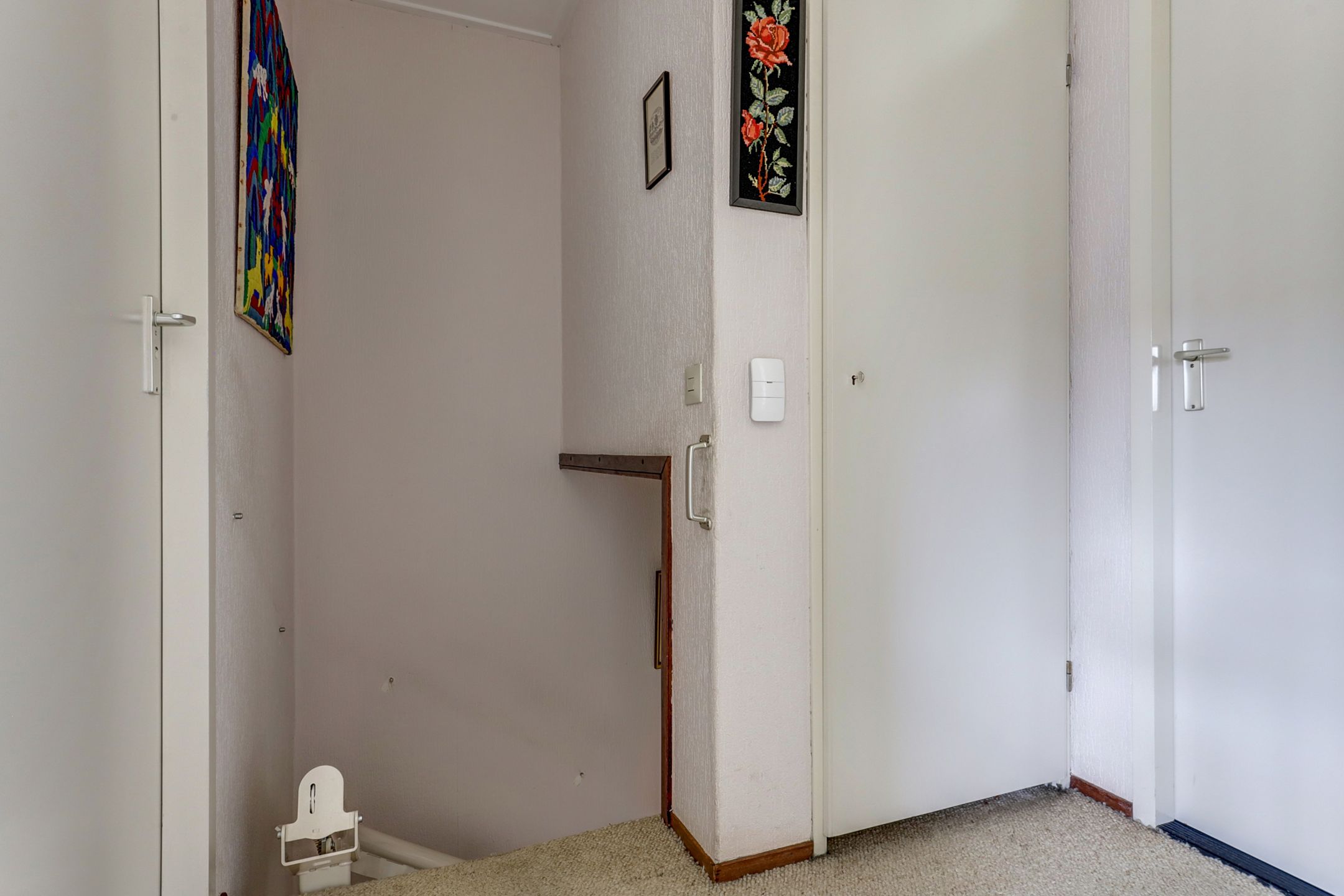 Foto 15 van Struisgras 8