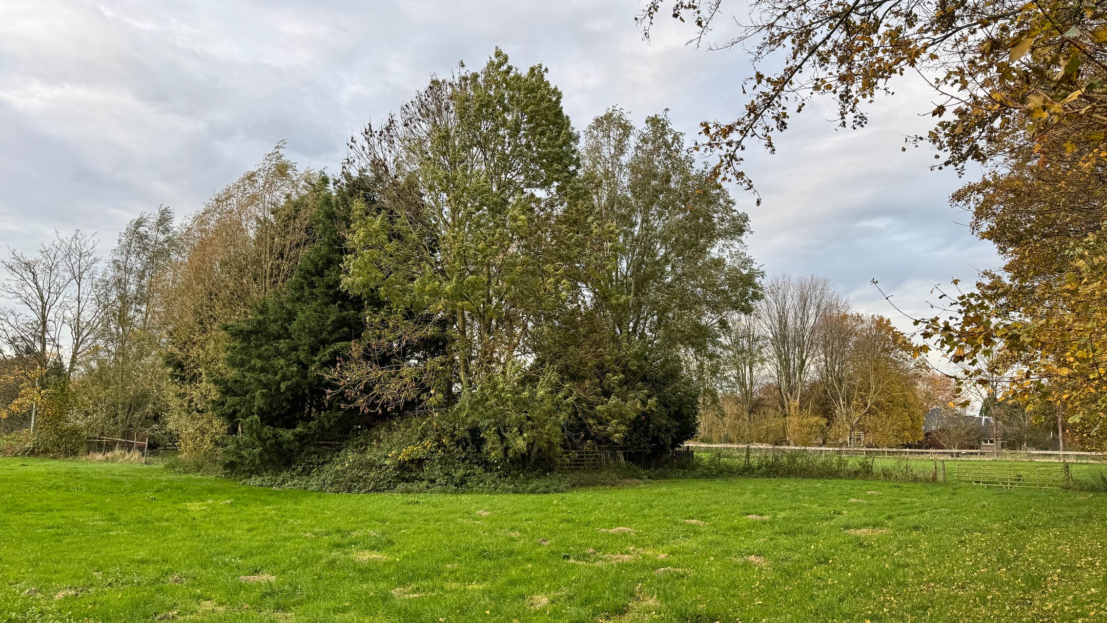 Foto 21 van Nekkerweg perceel 5090 kavel 2