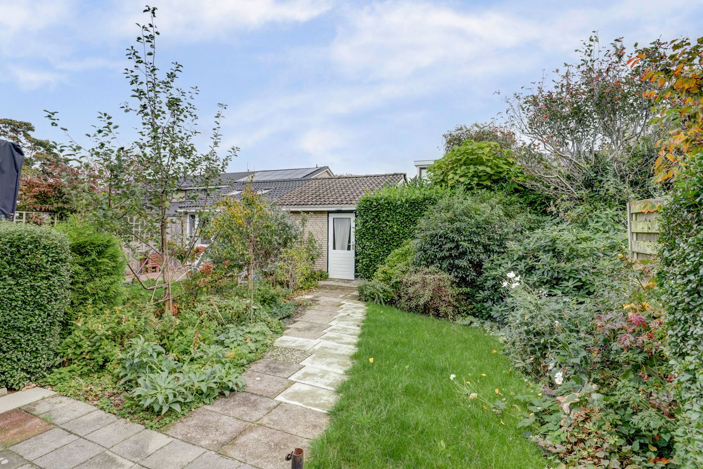 Foto 25 van Struisgras 8