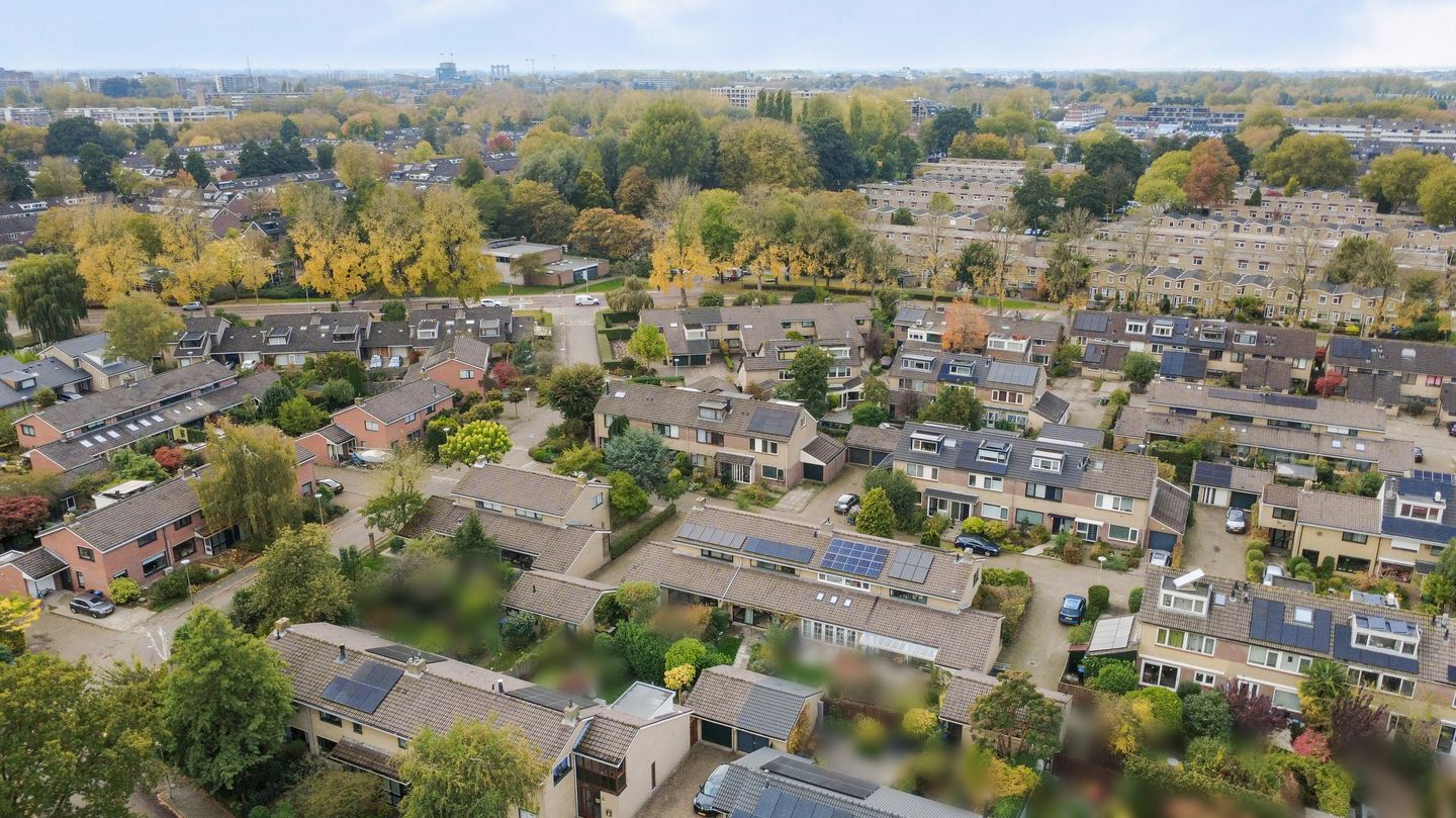 Foto 29 van Struisgras 8