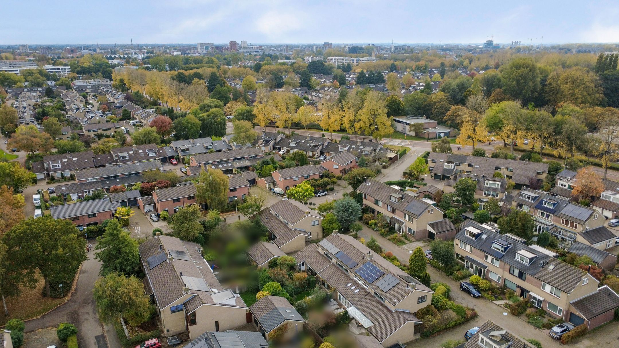 Foto 30 van Struisgras 8