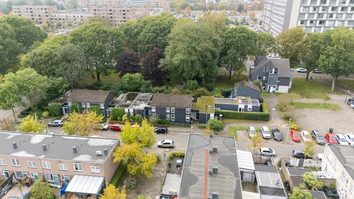 Photo 10 of Heradreef 8