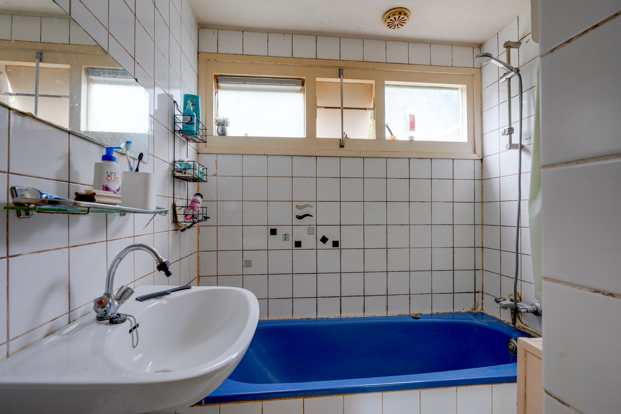 Foto 27 van Heradreef 8