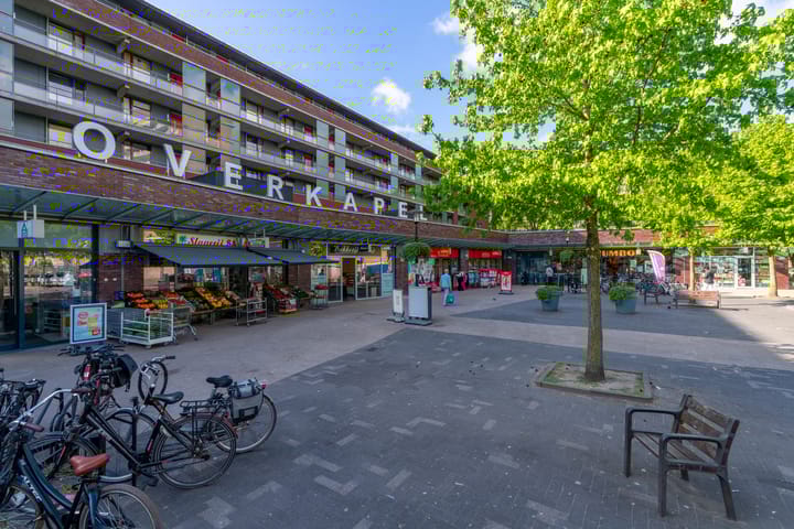 Photo 38 of Heradreef 8