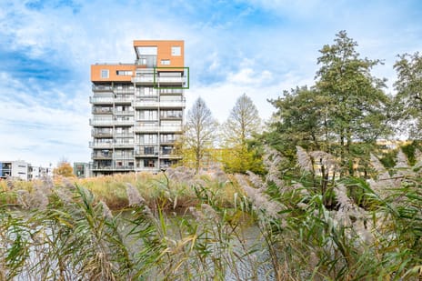 Plantsoen Welgelegen 49 secondary image