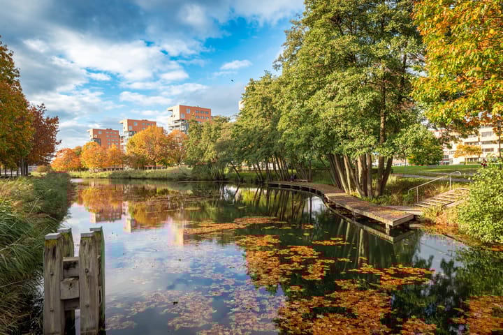 Photo 3 of Plantsoen Welgelegen 49