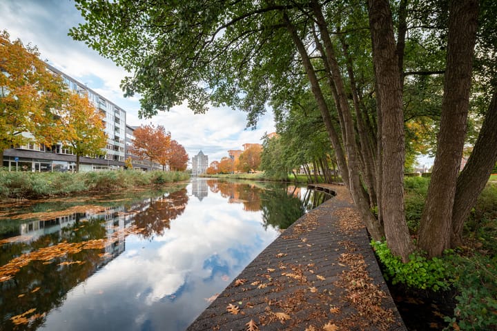 Photo 38 of Plantsoen Welgelegen 49