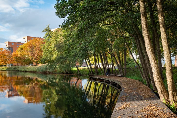 Photo 39 of Plantsoen Welgelegen 49