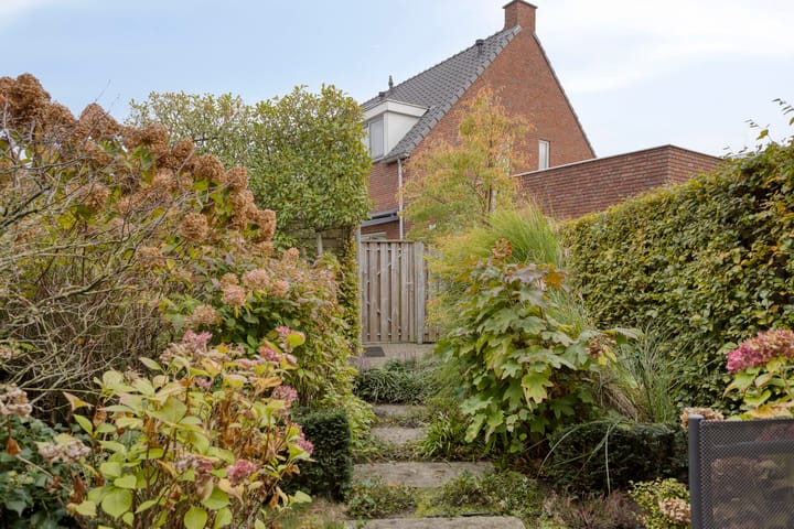 Photo 15 of Roerkuip 27