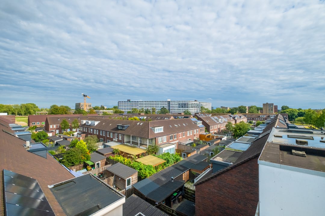 Foto 22 van Emanzana 3