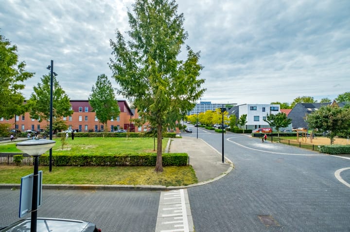 Photo 24 of Emanzana 3