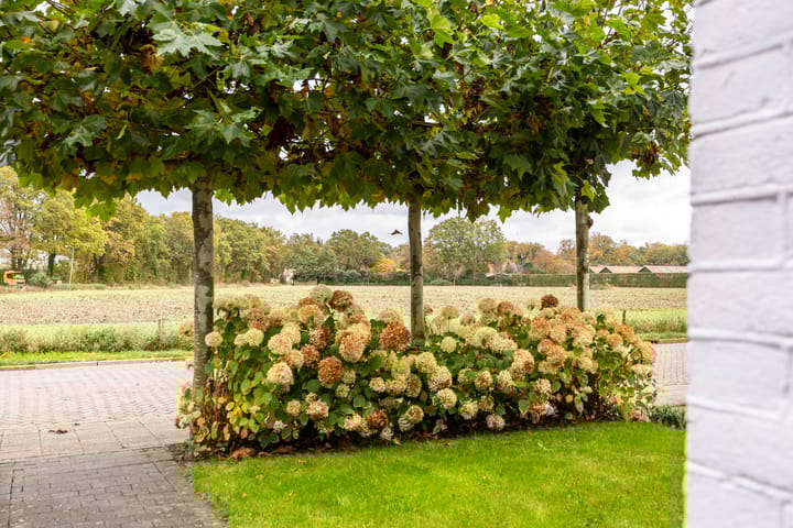 Foto 10 van Steenrietweg 14