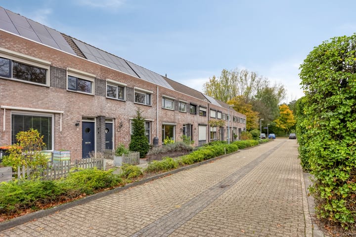 Photo 28 of Abe Lenstrasingel 4