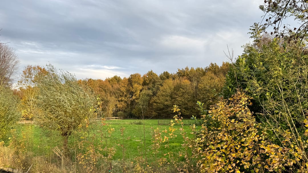 Photo 13 of Nekkerweg perceel 5091 kavel 1